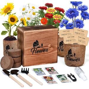 Indoor Garden Starter Kit, 4 Seeds, Shasta Daisy, Cornflower, Sunflower, Zinnia